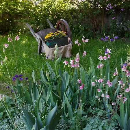 Skianta 2 Апартаменты *