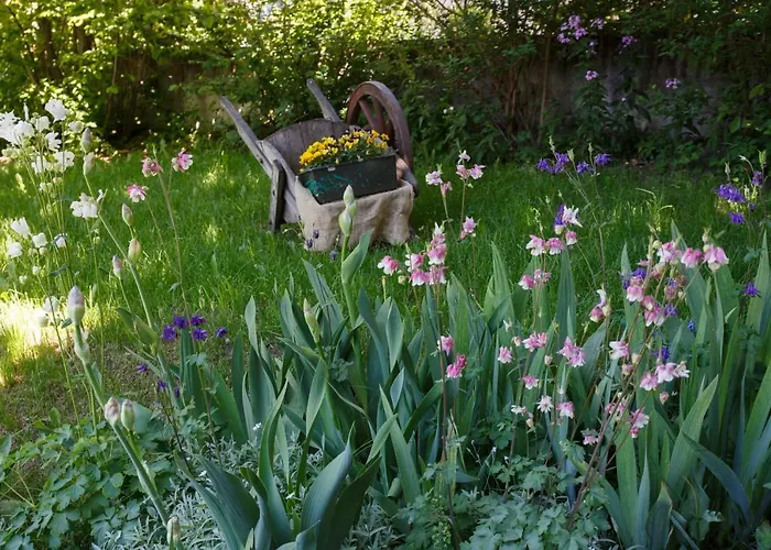 Skianta 2 Appartement *